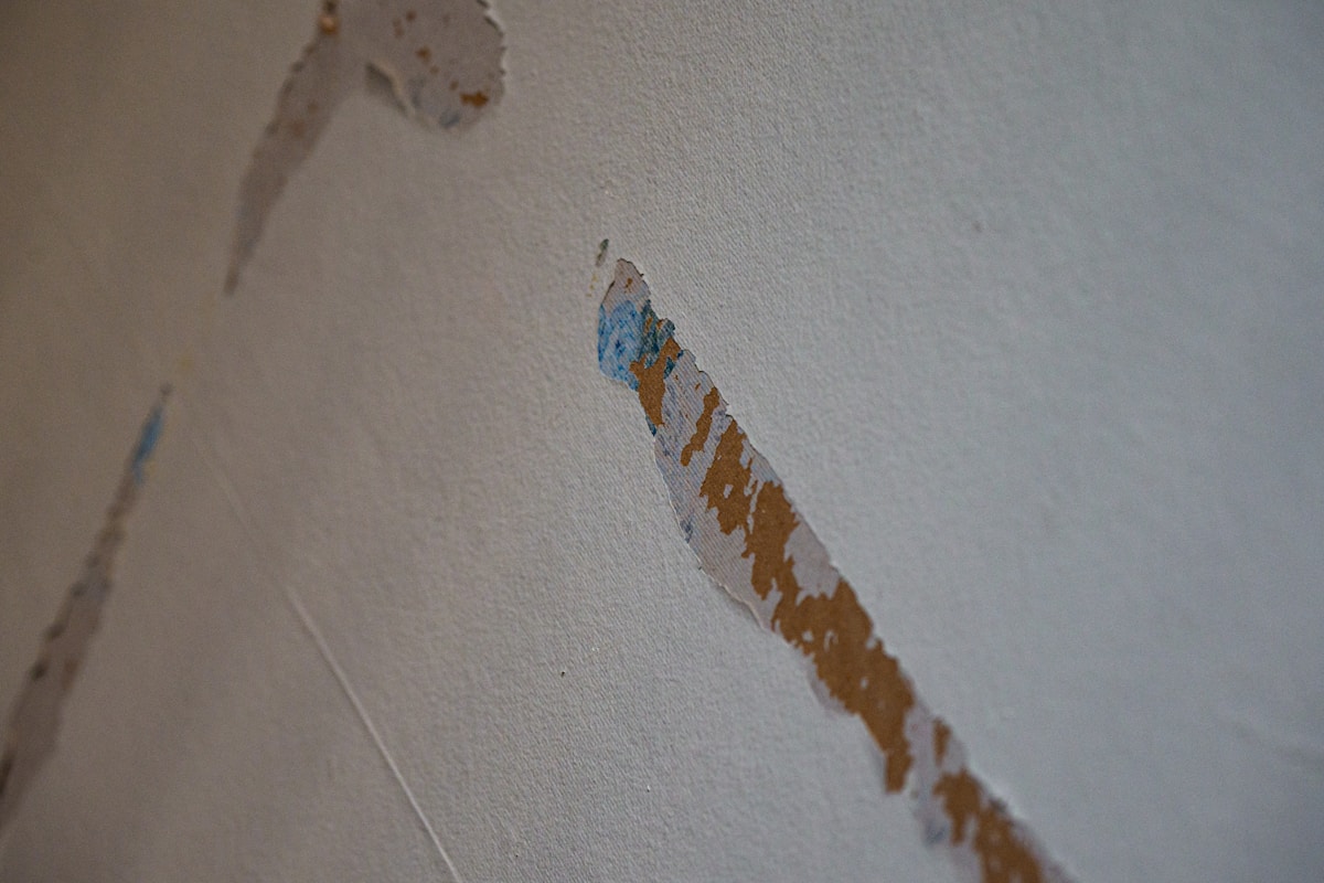 Storm Damage Repair service in Roswell, NM
